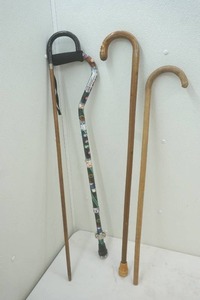 lot 411 image: canes