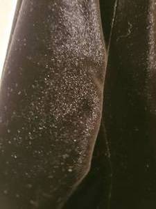 lot 66 image: DKNY Womens Brown Velvet V-Neck Soft Shirt Large CORRECTION THIS IS BLACK