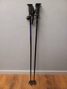 lot 99 image: METRIC SKI POLES