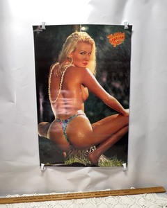 lot 99 image: Hawaiian Tropic Poster