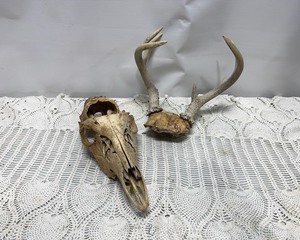 lot 212 image: Deer Decor