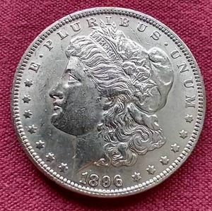1896 Morgan Dollar