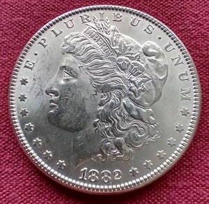 1882 Morgan Dollar