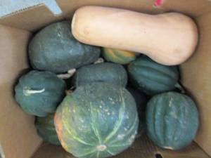 Box of Assorted Winter Squash...