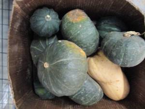 Box of Assorted Winter Squash...