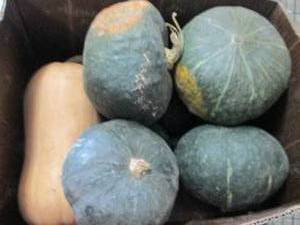 Box of Assorted Winter Squash...