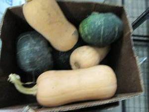Box of Assorted Winter Squash...