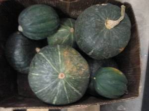 Box of Assorted Winter Squash...