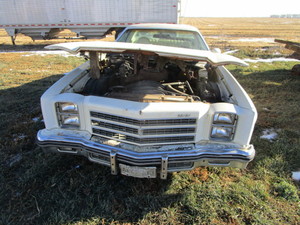 1976 Monte Carlo