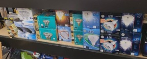 Various Light Bulbs