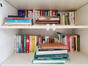 Two Shelves Of Books