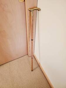 Walking Cane