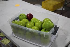 lot 788 image: Lot of (25) Faux Apple Dcor