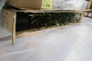 lot 920 image: Lot of (2) Viagdo 74 Artificial Olive Tree Dcor (in box)