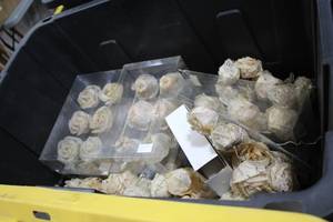 lot 922 image: Lot of (50) Peach Paper Flower Dcor