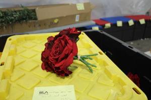 lot 925 image: Lot of  Red Fabric Rose Dcor