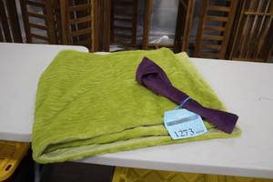 lot 1273 image: Green Fleece Throw Blanket with Throw Pillow Case
