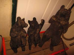 Meet the newest addition to your fa...