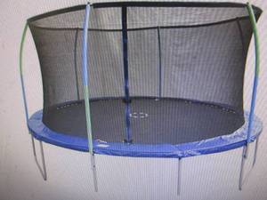 lot 77 image: 12 Round Trampoline with Enclosure...