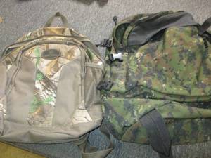 lot 259 image: 2 backpacks ...