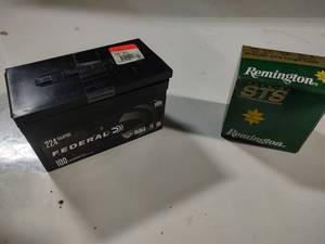 20 Gauge Shotgun Shells and 224 Valkyrie Ammo
