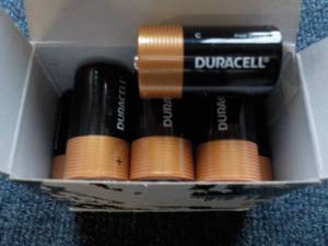 12 size C Duracell Batteries...