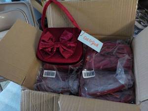 Case of 12 Cat and Jack Purses...