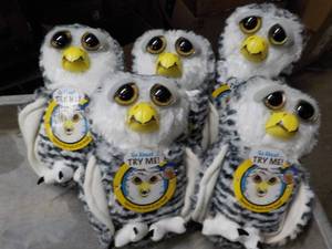 5 Freisty Owl  Pets- squeeze the ba...