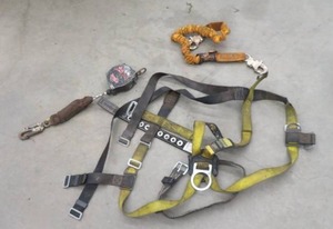 SAFETY HARNESS LOT