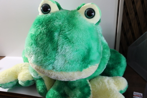 Frog
