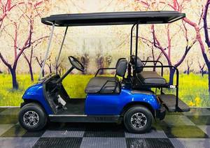 2006 YAMAHA VIPER BLUE GAS GOLF CART