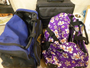 3 Travel Bags