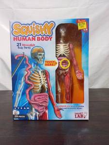 lot 59 image: Squishy Human Body Skeleton Puzzle by Smart Lab
