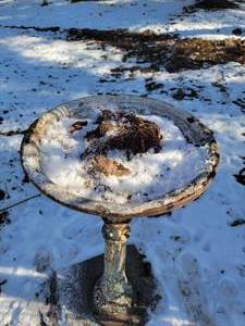lot 99 image: Wrought Iron Birdbath