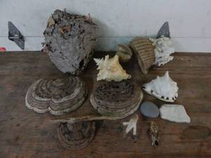 lot 18 image: Paper Beehive & Other Outdoor Related