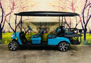 lot 1 image: NEW 2023 LITHIUM POWERED 6 PERSON LIMO LSV STREET LEGAL GOLF CART