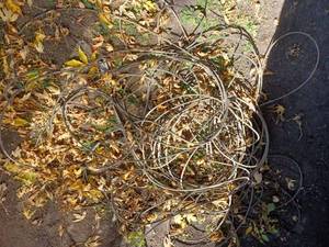 5mm Cable in a Length Used for Tree Trimming - Actual Length Unknown