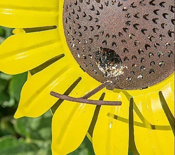 Desert Steel Sunflower Garden Stake and Bird Feeder - NEW