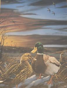 lot 68 image: Bruce Miller Pint Morning Magic