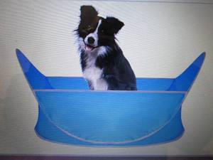 lot 43 image: 3 each Beuool Dog Hair Grooming Cat...