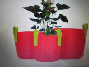 lot 94 image: Fabric Grow Bags, 3 Pack, 2-Gallon,...