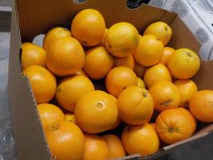 lot 284 image: Bag of 20 Oranges...