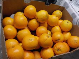 lot 285 image: Bag of 20 Oranges...