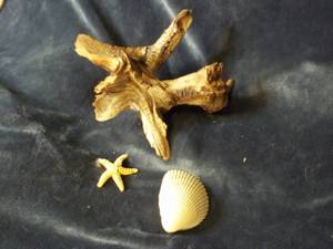 lot 6 image: Driftwood