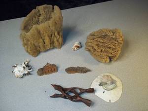 lot 119 image: Under the Sea