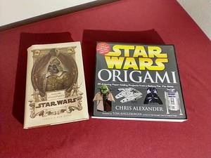 lot 39 image: (2) Unique Star Wars Books