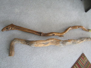 Pair Canes