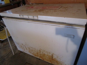 Chest Freezer