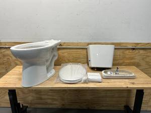 lot 31 image: Project Source  Pro-Flush White Dual Flush Elongated Chair Height 2-piece WaterSense Toilet 12-in Rough-In Size (Ada Compliant)