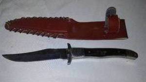 lot 198 image: 9 Inch Hunting Knife,